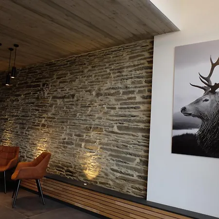 Πανσιόν Le Cerf D'or Herbeumont