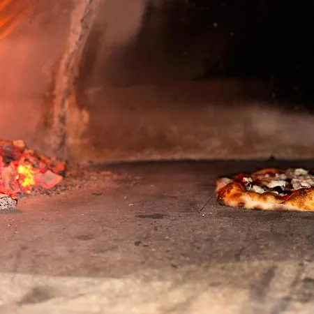 Le Cerf D'or Πανσιόν